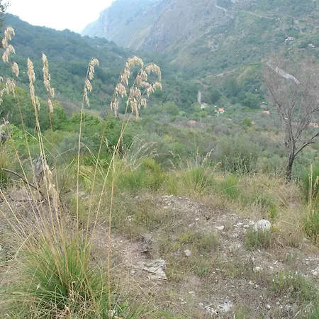 Bed & Breakfast Studioarcodia- *