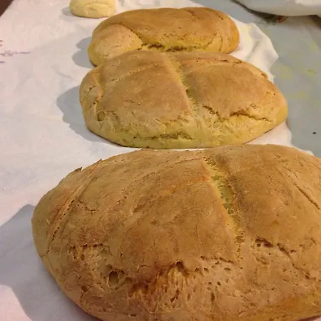 Couette-café Studioarcodia-