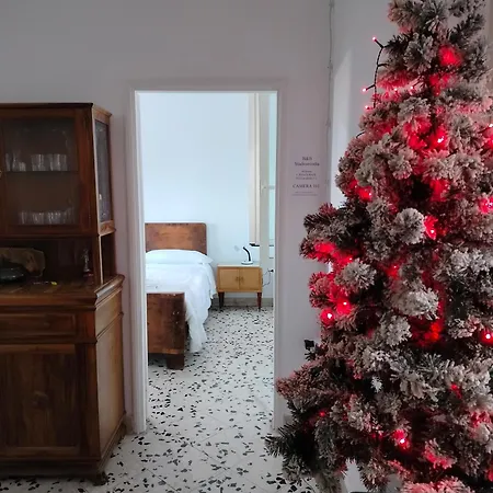 Studioarcodia-